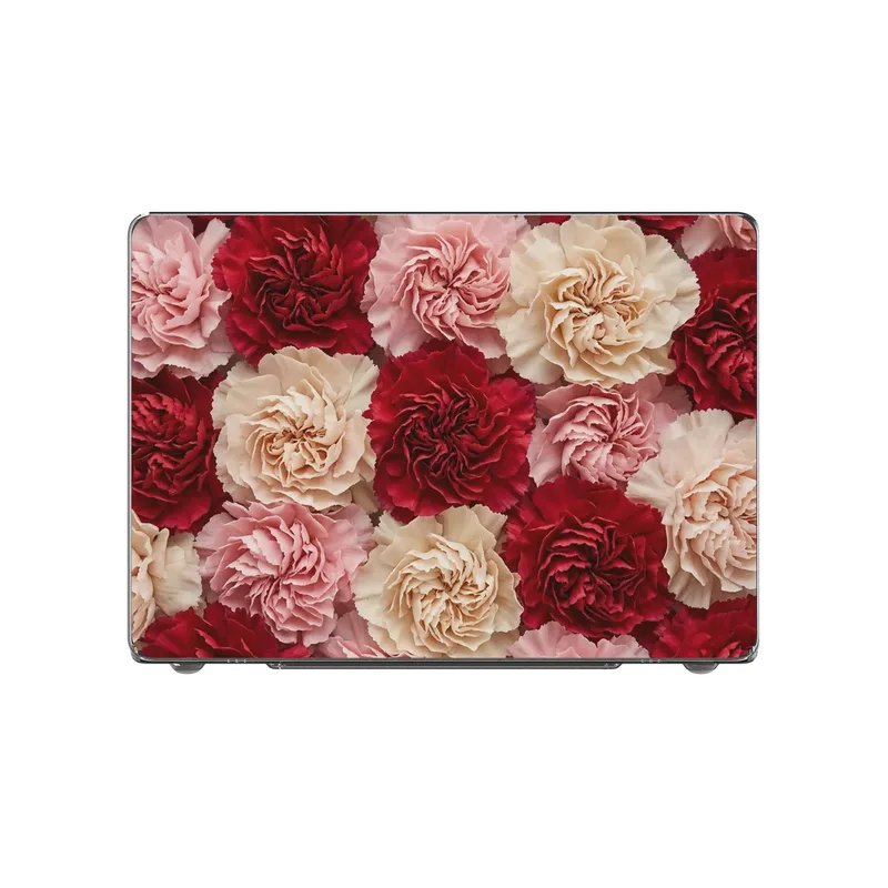 Carnation case