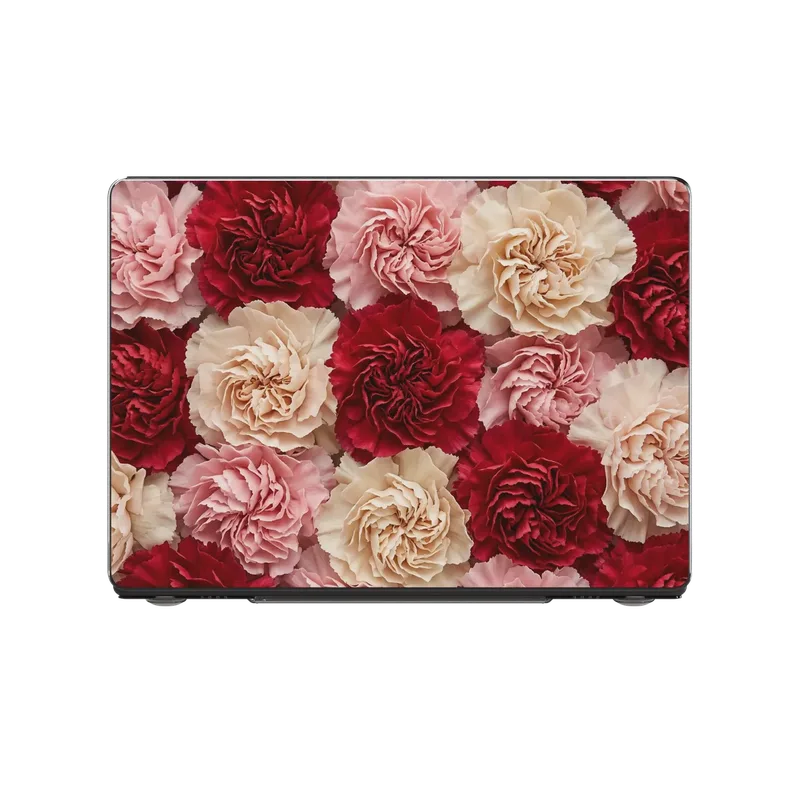 Carnation case
