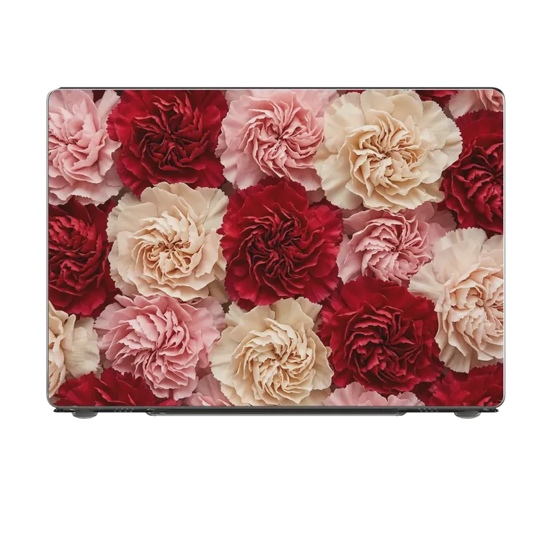 Carnation case
